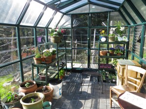 Endless Summer: Consider a Glass Greenhouse