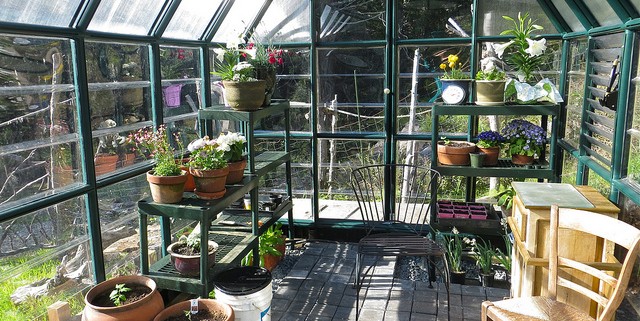 Endless Summer: Consider a Glass Greenhouse